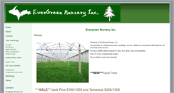 Desktop Screenshot of evergreennurserymi.com
